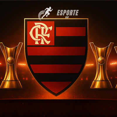 Descubra quantos títulos do Brasileirão o Flamengo tem.