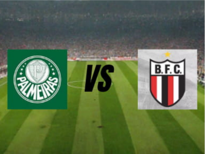 Palmeiras vs Botafogo SP
