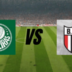 Palmeiras vs Botafogo SP: Como assistir ao vivo a partida da copa do Brasil