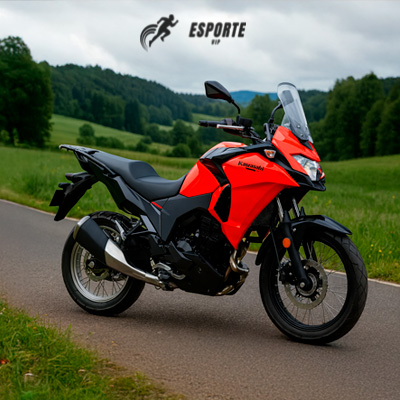 Kawasaki Versys-X 300